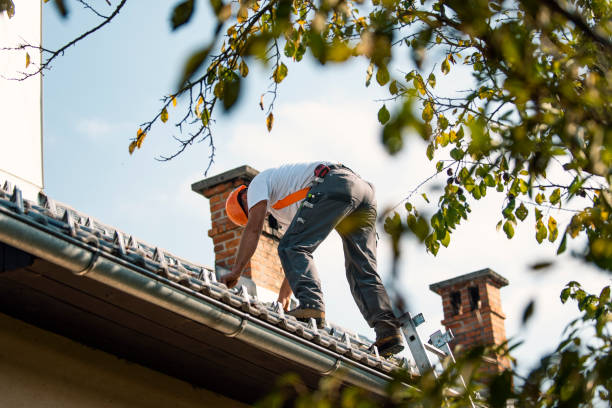Best Roof Gutter Cleaning  in Cairo, GA