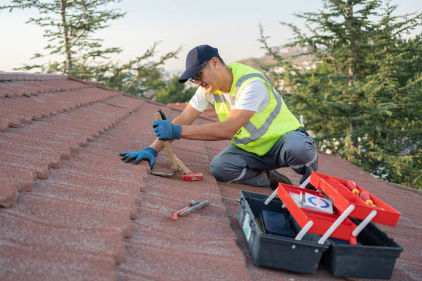 Best Storm Damage Roof Repair  in Cairo, GA
